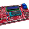 PIC Development Kit (Betamini)